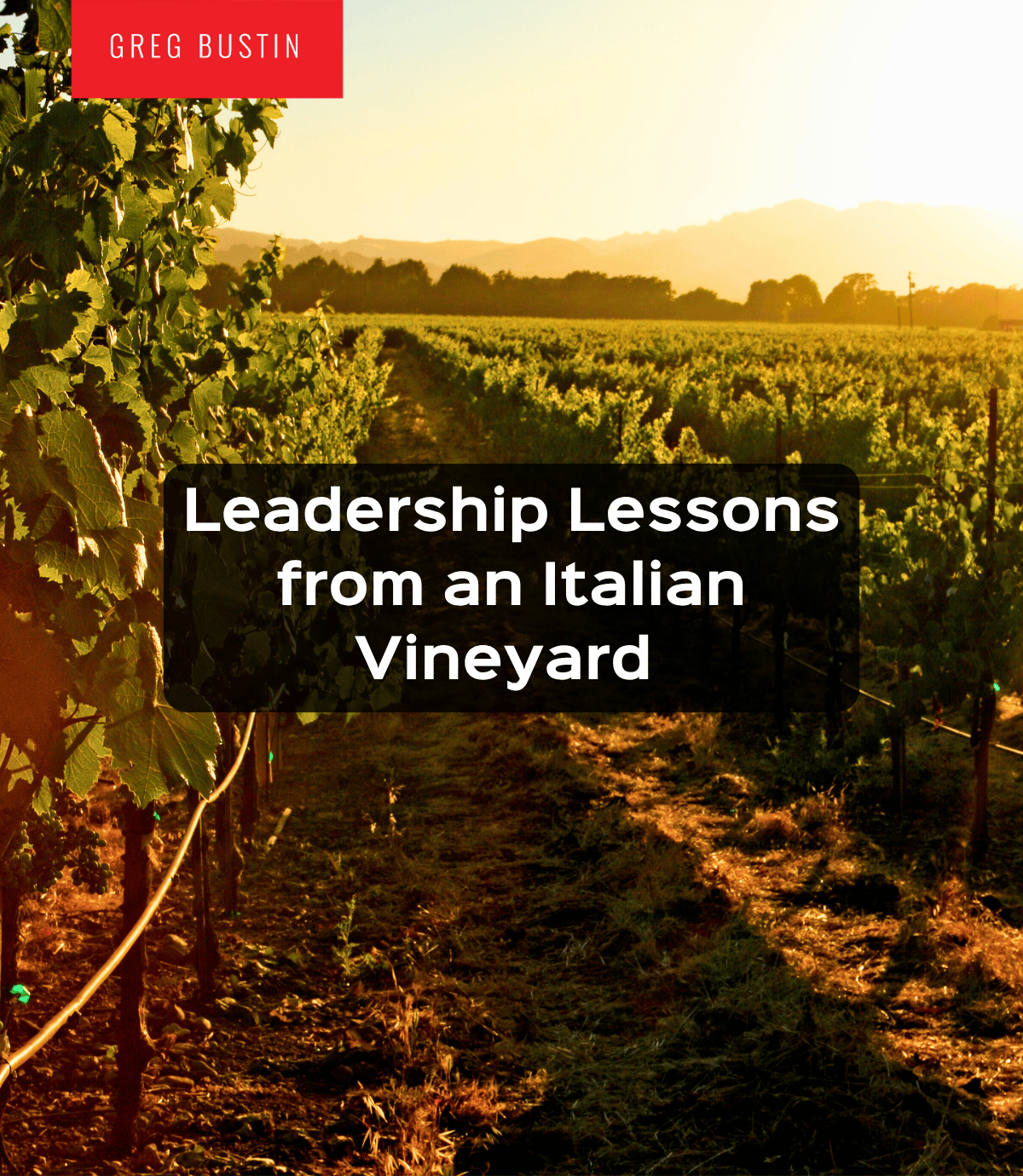 Leadership Lessons from an Italian Vineyard - Greg Bustin